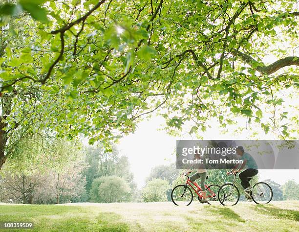 pareja montando una bicicleta debajo de árbol - ciclismo fotografías e imágenes de stock