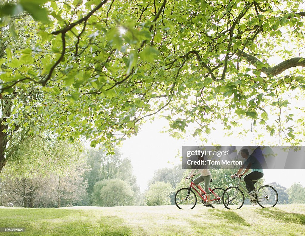 Couple riding bicycles underneath tree