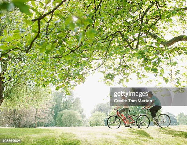 Couple Riding Bicycles Underneath Tree, 照片檔