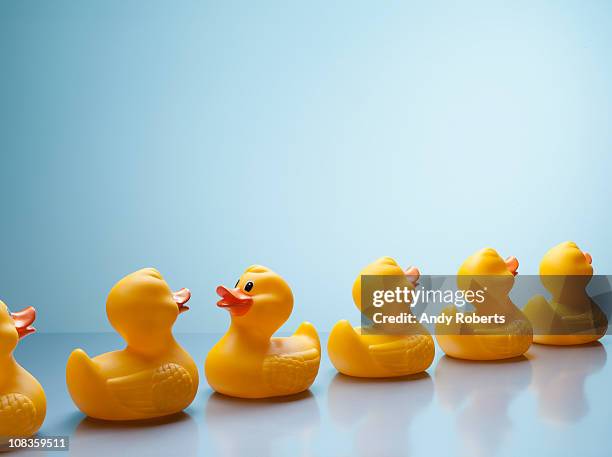 rubber ducks in a row with one facing backwards - reverse stock-fotos und bilder