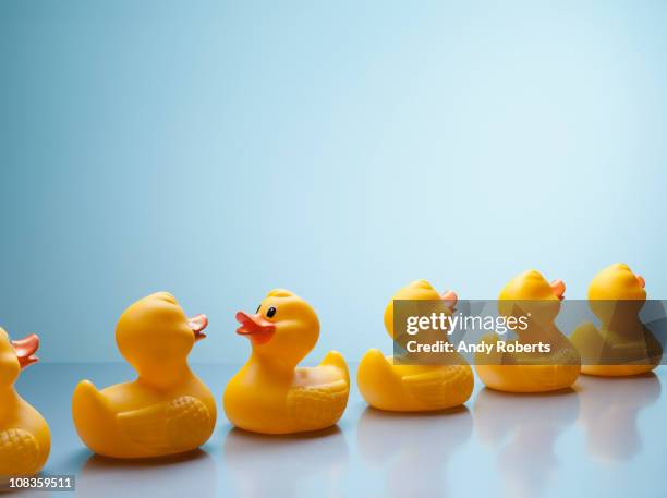 rubber ducks in a row with one facing backwards - reversing stock pictures, royalty-free photos & images