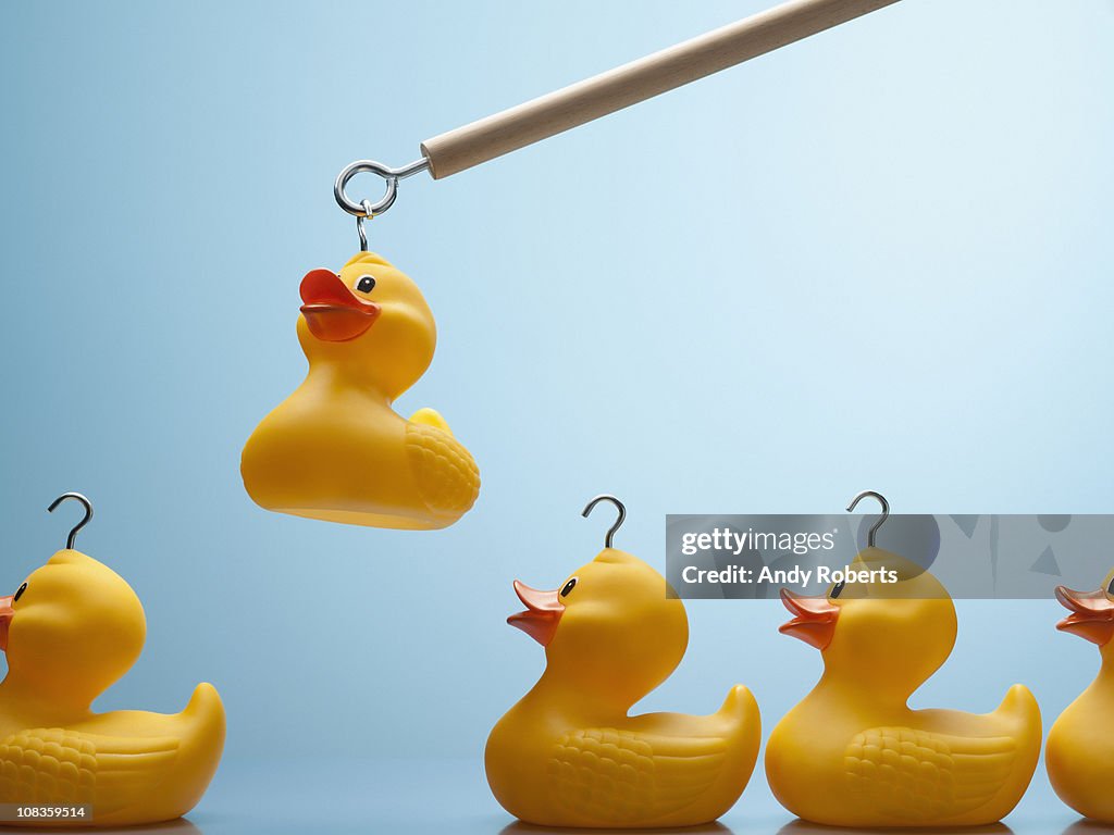 Pole lifting rubber duck with hook in its head