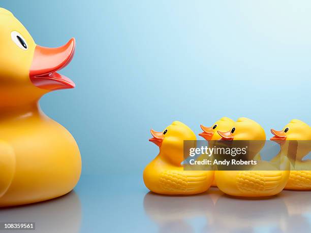 mother rubber duck and several rubber ducklings - rubber duck stock pictures, royalty-free photos & images