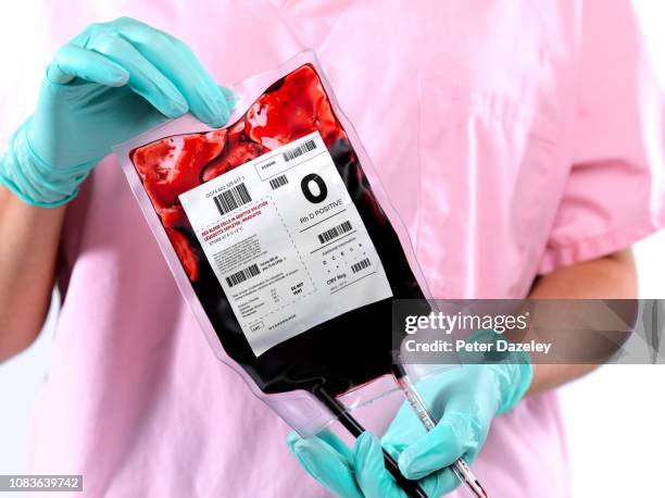 doctor/nurse holding blood bag - blood group stock-fotos und bilder