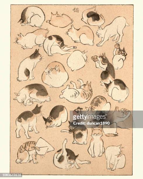 ilustrações, clipart, desenhos animados e ícones de arte do japão, esboços de gatos por hiroshige - japanese art