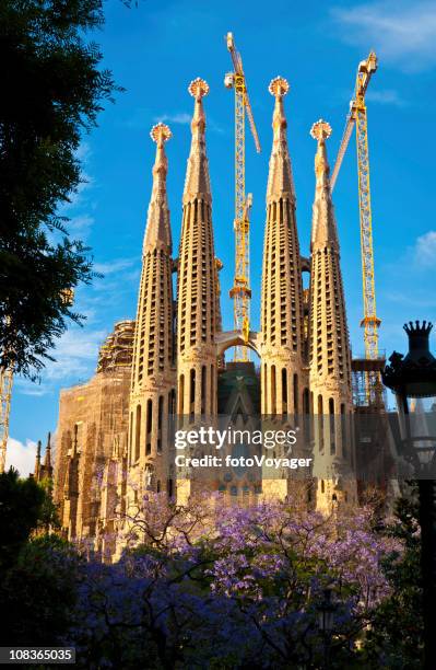 barcelona sagrada família gaudi agulhas emoldurado por primavera folhagem espanha - sagrada família imagens e fotografias de stock