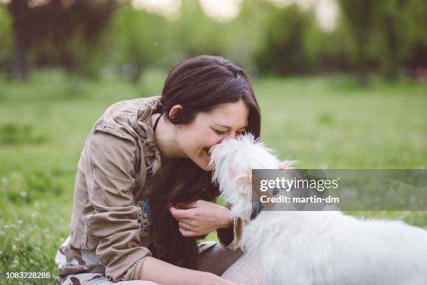 happy woman enjoying her dog in the park - off leash dog park stock pictures, royalty-free photos & images
