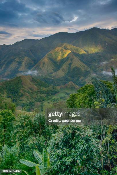 印尼南蘇拉威西的 tana toraja 高地 - sulawesi 個照片及圖片檔