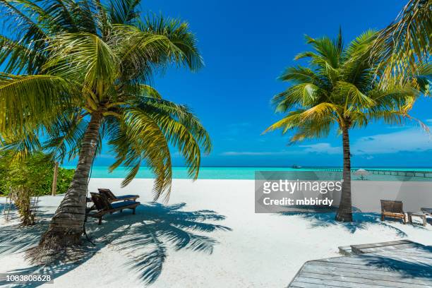 paradiso tropicale sull'isola di dhiffushi holiday, atollo di south ari, maldive - ari atoll foto e immagini stock