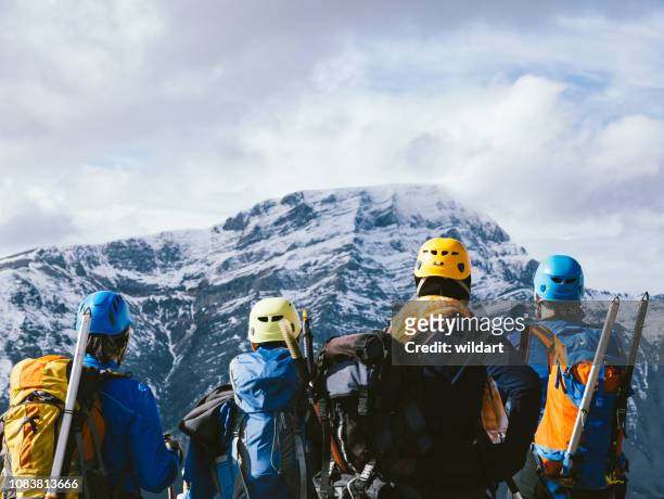 gruppe von bergsteiger-team ist die schöne landschaft in den gipfel des berges im winter beobachten. - sportmannschaft stock-fotos und bilder