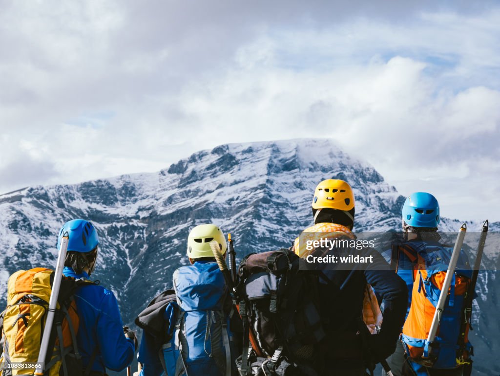 Grupo da equipe alpino alpinista está observando a bela paisagem no pico da montanha no inverno