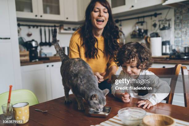 jeune femme et petit garçon alimentation chat - feline photos et images de collection