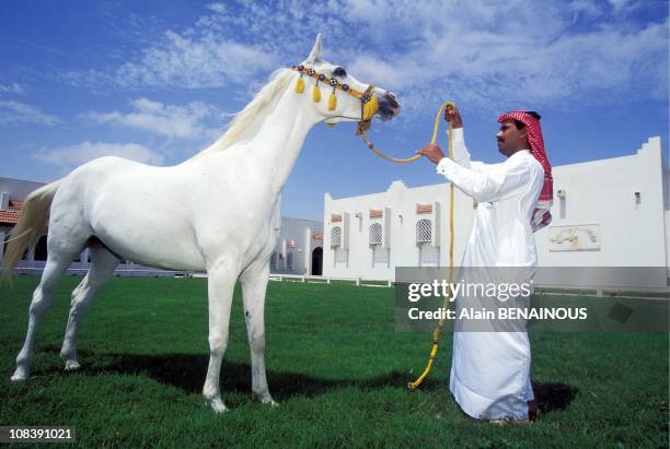 Marathon of desert Qatar on March 01, 1996.