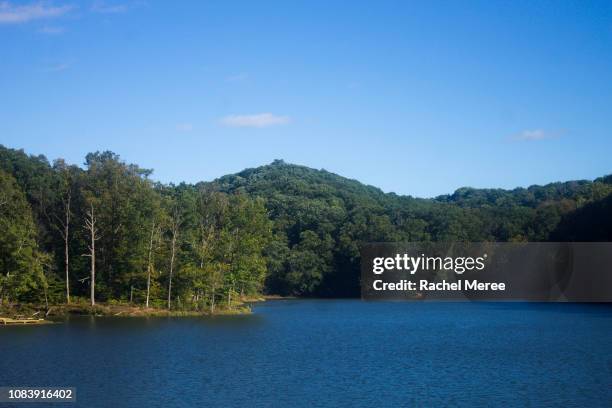 lake - indiana nature stock pictures, royalty-free photos & images