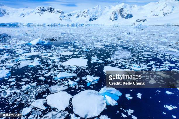 paradise bay in antarctica - antarctic peninsula stock pictures, royalty-free photos & images