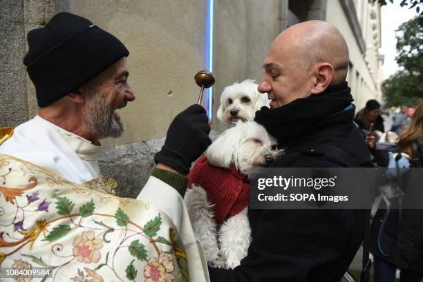 Dog seen reacting to the priest blessing it during Saint Anthony's day in Madrid. During Saint Anthonys day , hundreds of people bring their pets to...