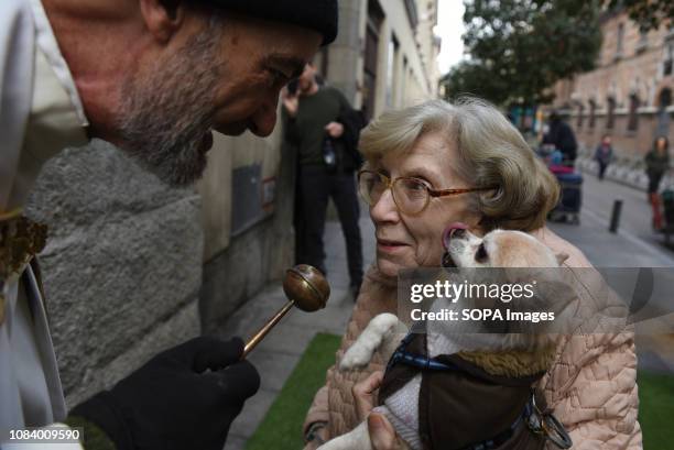 Dog seen reacting to the priest blessing it during Saint Anthony's day in Madrid. During Saint Anthonys day , hundreds of people bring their pets to...