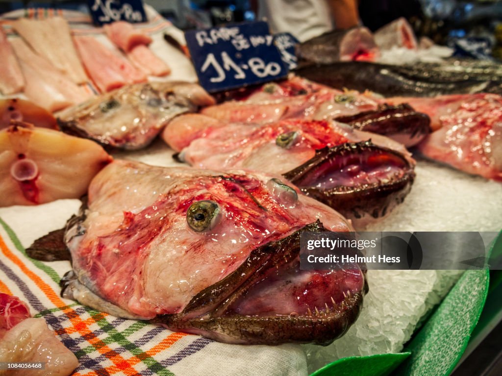 Fresh monkfish on a market