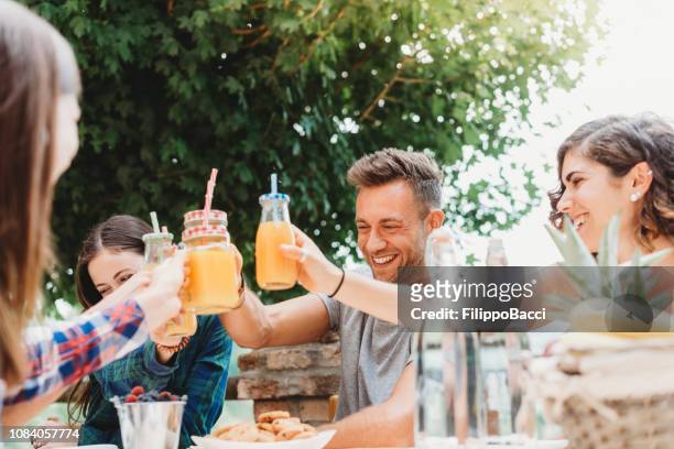 groep vrienden met een pauze in het platteland samen sappen drinken - picnic table stockfoto's en -beelden