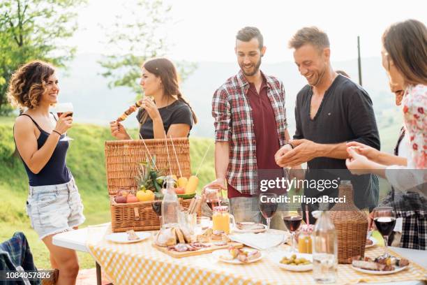 amis, faire un apéritif et de boire du vin lors d’une soirée barbecue - apéritif photos et images de collection