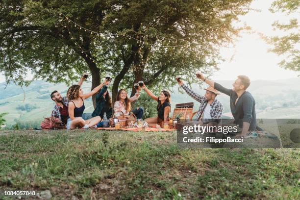 freunde, die bei einem picknick bei sonnenuntergang auf dem lande toasten - aperitif stock-fotos und bilder