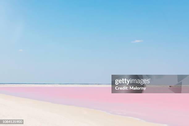 pink lake, las coloradas, mexico - free wallpapers stock-fotos und bilder