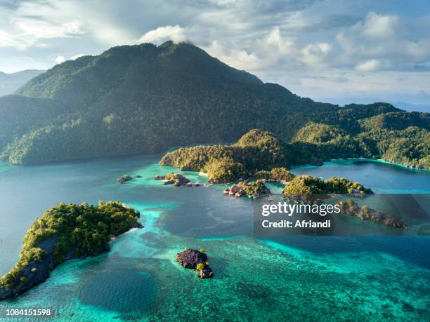 labengki island, southeast sulawesi, indonesia - sulawesi stock-fotos und bilder