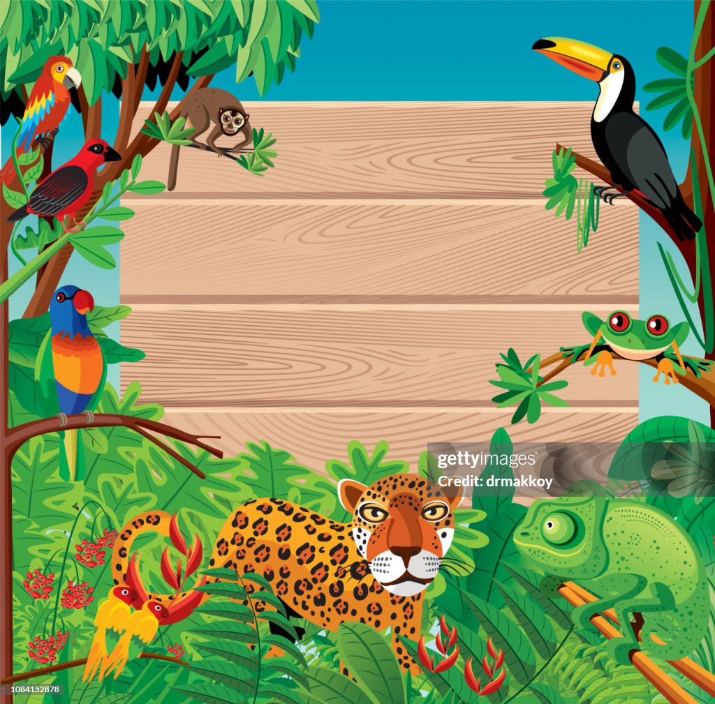 Tropical Background and Wood