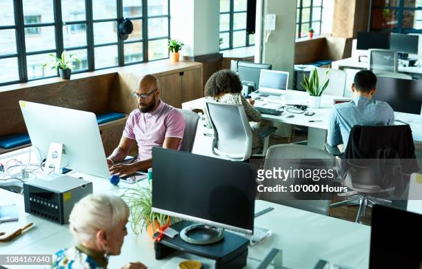 open plan office with people working at desks - colletti bianchi foto e immagini stock