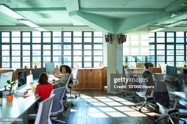 light and spacious modern office with women working at desks - personas en el fondo fotografías e imágenes de stock