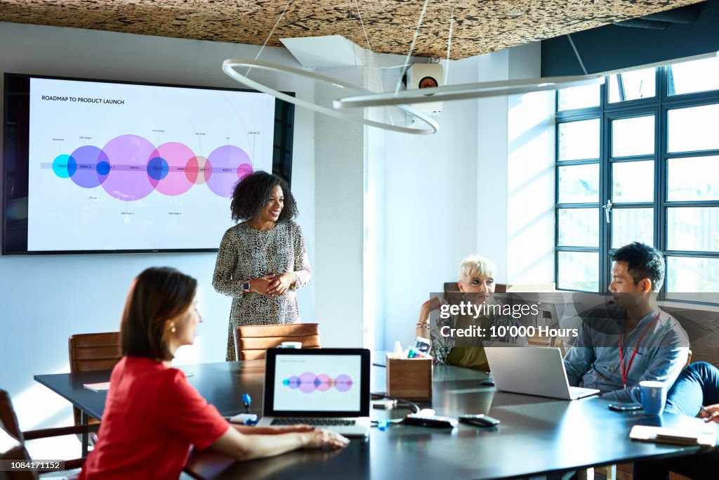 Attractive businesswoman heads strategy meeting in board room