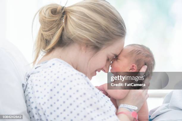 touching foreheads - newborn hospital stock pictures, royalty-free photos & images