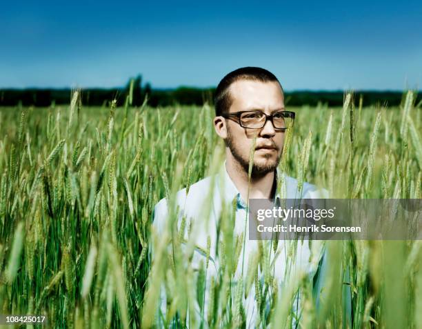 adult male with glasses standing in a wheat field - umgeben stock-fotos und bilder