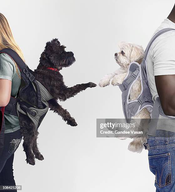 1,353 Love At First Sight Funny Photos and Premium High Res Pictures - Getty Images 1,353 Love At First Sight Funny Photos and Premium High Res Pictures - Getty Images