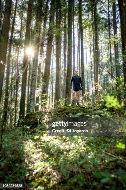 man exercising in forest with the sun behind - wald sonnenstrahlen stock-fotos und bilder