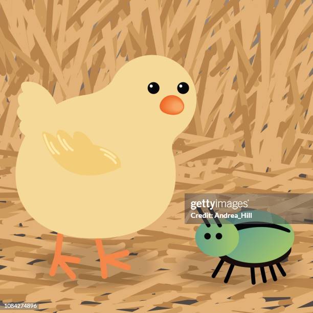 cute cartoon chick with bug - free range stock illustrations