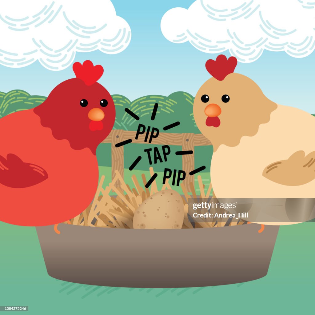 Cute Cartoon Chickens Watching Egg Hatch High-Res Vector Graphic - Getty  Images