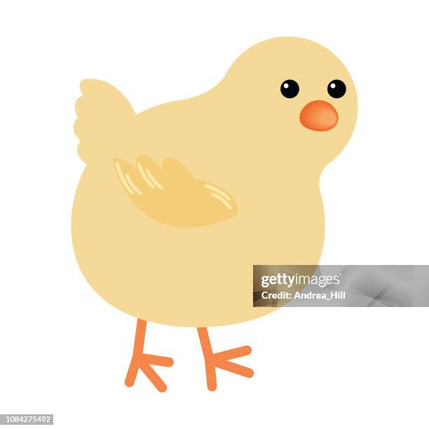 cute cartoon chick - free range stock illustrations