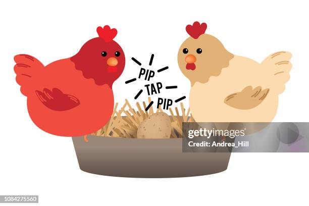 cute cartoon chickens watching egg hatch - free range stock illustrations