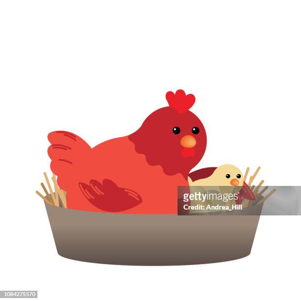 cute cartoon chickens - baby chicken stock illustrations