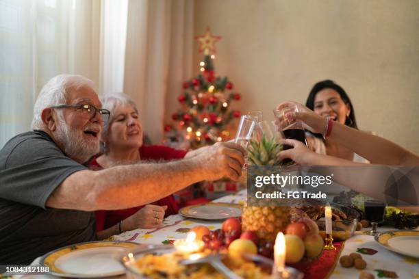 family having dinner together celebrating christmas time - summer christmas stock pictures, royalty-free photos & images