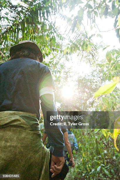 a man and woman walk through the amazon rainforest furing the mid morning. - peruanisches amazonasgebiet stock-fotos und bilder