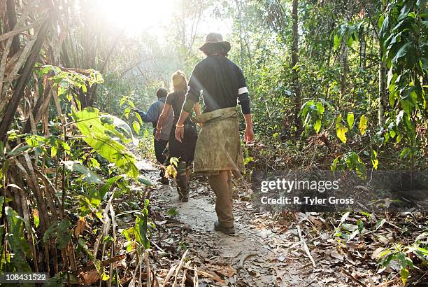 a man and woman walk through the amazon rainforest during the mid morning. - amazon rainforest fotografías e imágenes de stock