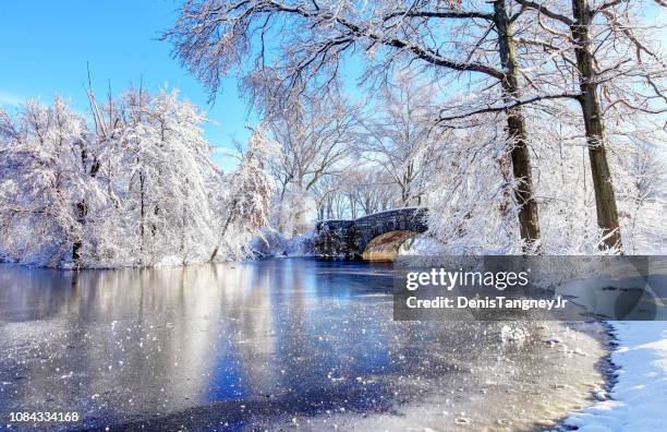 invierno en franklin park de boston - estanque fotografías e imágenes de stock