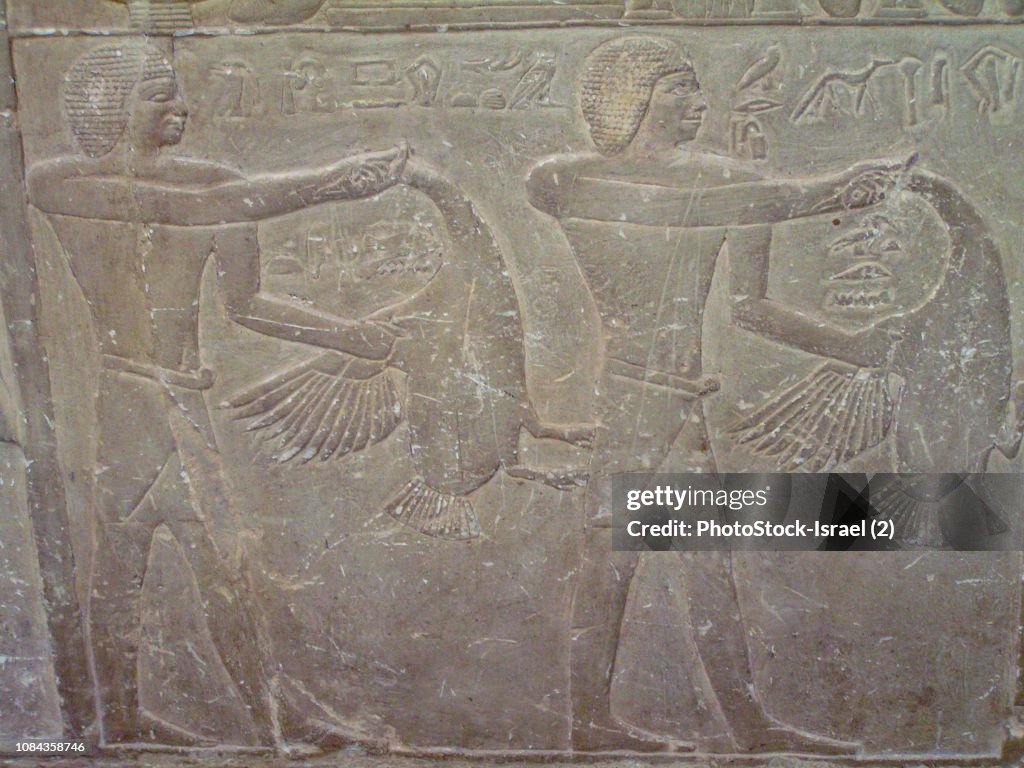 Tomb of Mereruka Saqqara, Giza, Egypt