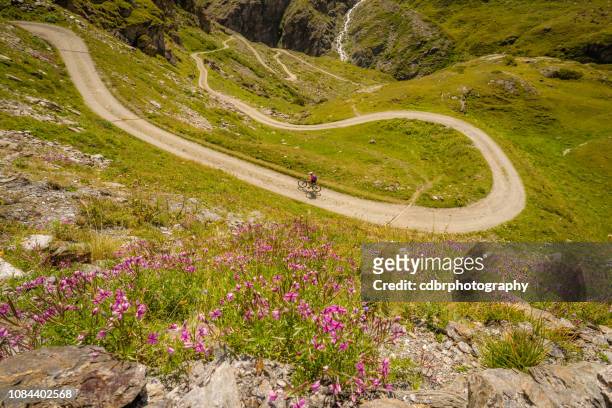 mountain biking in an alpine meadow - verbier stock pictures, royalty-free photos & images