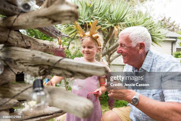 grandfather enjoying decorating christmas tree with granddaughter - new zealand christmas stock pictures, royalty-free photos & images
