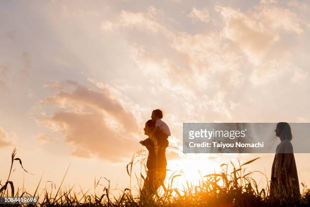 families walking in the evening - lens flare nature stock pictures, royalty-free photos & images
