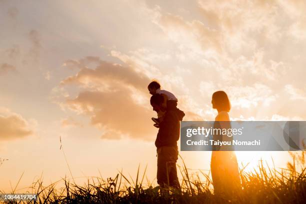 families walking in the evening - 家族　シルエット ストックフォトと画像