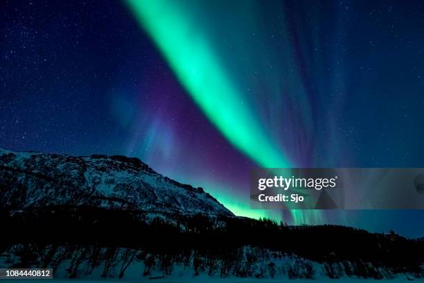 northern lights or aurora borealis in lofoten islands, norway. polar lights in a starry sky over a snowy winter landscape - aurora panorama stock pictures, royalty-free photos & images